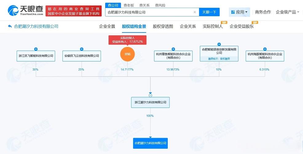 人工智能理论与算法软件开发,计算机系统服务