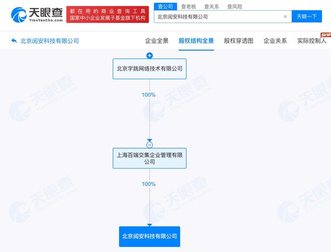 注册资本100万人民币,经营范围含信息技术咨询服务,计算机系统服务